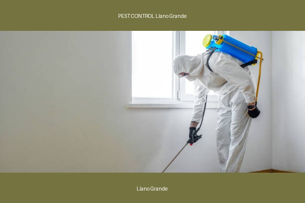 PEST CONTROL Llano Grande